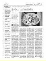 Vásárhelyi Hírlap XII. évfolyam, 54. szám