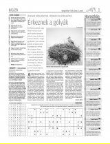 Gyergyói Hírlap IX. évfolyam, 55. szám