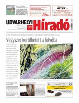 XXIX. évfolyam, 55. szám