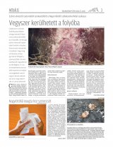 Udvarhelyi Híradó XXIX. évfolyam, 55. szám