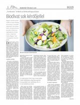 Udvarhelyi Híradó XXIX. évfolyam, 55. szám