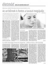 Krónika XX. évfolyam, 57. szám