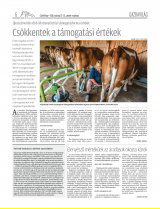 Csíki Hírlap XIII. évfolyam, 57. szám