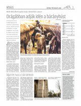 Csíki Hírlap XIII. évfolyam, 60. szám