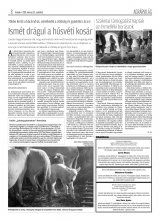 Krónika XX. évfolyam, 61. szám