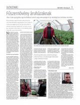 Erdélyi Napló XVIII. évfolyam, 13. szám
