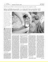Vásárhelyi Hírlap XII. évfolyam, 64. szám