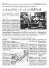 Krónika XX. évfolyam, 65. szám