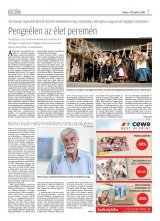 Krónika XX. évfolyam, 66. szám