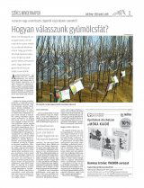 Csíki Hírlap XIII. évfolyam, 66. szám