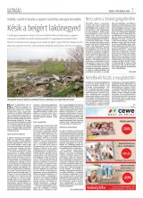 Krónika XX. évfolyam, 67. szám
