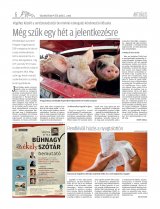 Udvarhelyi Híradó XXIX. évfolyam, 68. szám