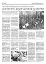 Krónika XX. évfolyam, 70. szám