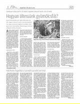 Gyergyói Hírlap IX. évfolyam, 73. szám
