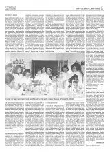 Krónika XX. évfolyam, 75. szám