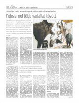 Udvarhelyi Híradó XXIX. évfolyam, 75. szám