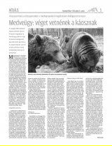 Vásárhelyi Hírlap XII. évfolyam, 78. szám