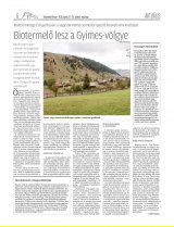 Vásárhelyi Hírlap XII. évfolyam, 80. szám