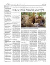 Vásárhelyi Hírlap XII. évfolyam, 80. szám