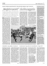 Krónika XX. évfolyam, 81. szám