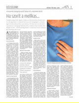 Csíki Hírlap XIII. évfolyam, 81. szám