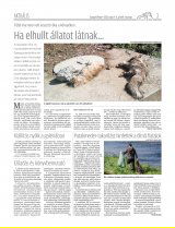 Gyergyói Hírlap IX. évfolyam, 83. szám