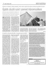 Krónika XX. évfolyam, 84. szám