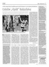 Krónika XX. évfolyam, 85. szám