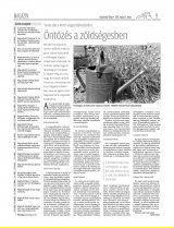 Vásárhelyi Hírlap XII. évfolyam, 85. szám