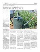 Gyergyói Hírlap IX. évfolyam, 86. szám