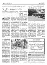 Krónika XX. évfolyam, 87. szám
