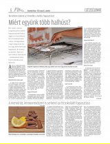 Vásárhelyi Hírlap XII. évfolyam, 87. szám
