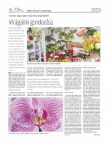 Udvarhelyi Híradó XXIX. évfolyam, 88. szám