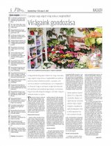 Vásárhelyi Hírlap XII. évfolyam, 89. szám