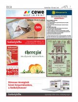 Vásárhelyi Hírlap XII. évfolyam, 90. szám