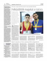 Vásárhelyi Hírlap XII. évfolyam, 91. szám