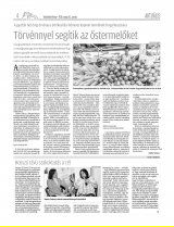 Vásárhelyi Hírlap XII. évfolyam, 91. szám