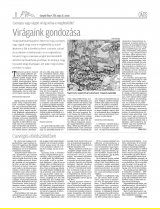 Gyergyói Hírlap IX. évfolyam, 91. szám