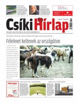 XIII. évfolyam, 91. szám