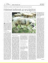 Csíki Hírlap XIII. évfolyam, 91. szám