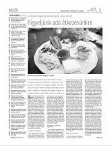 Vásárhelyi Hírlap XII. évfolyam, 96. szám