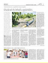 Udvarhelyi Híradó XXIX. évfolyam, 96. szám