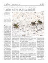 Csíki Hírlap XIII. évfolyam, 99. szám