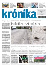 XX. évfolyam, 99. szám