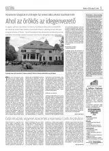 Krónika XX. évfolyam, 99. szám