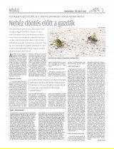 Udvarhelyi Híradó XXIX. évfolyam, 99. szám