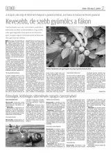 Krónika XX. évfolyam, 101. szám