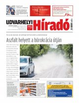 XXIX. évfolyam, 101. szám