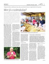 Vásárhelyi Hírlap XII. évfolyam, 101. szám
