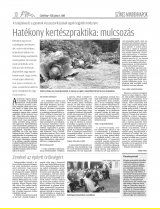 Csíki Hírlap XIII. évfolyam, 102. szám